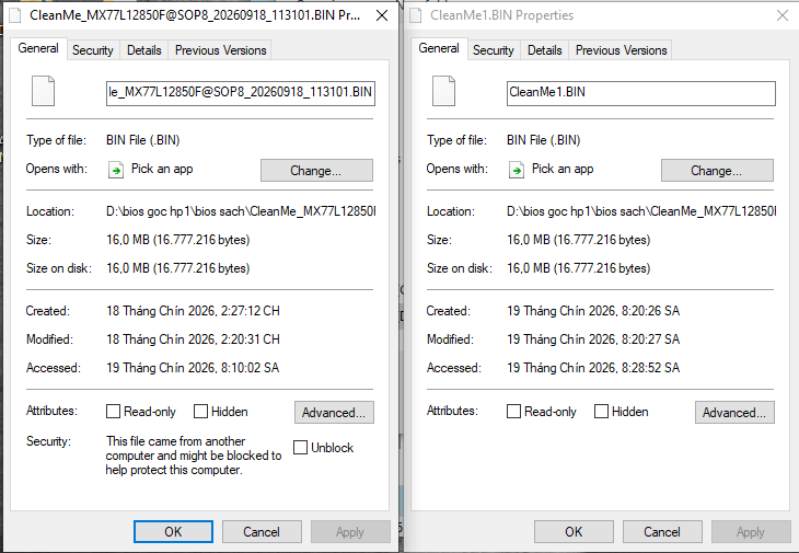 bios file.PNG